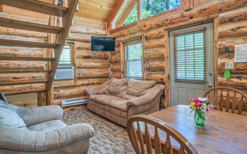 Vacation Cabin Rental #8 Living Room
